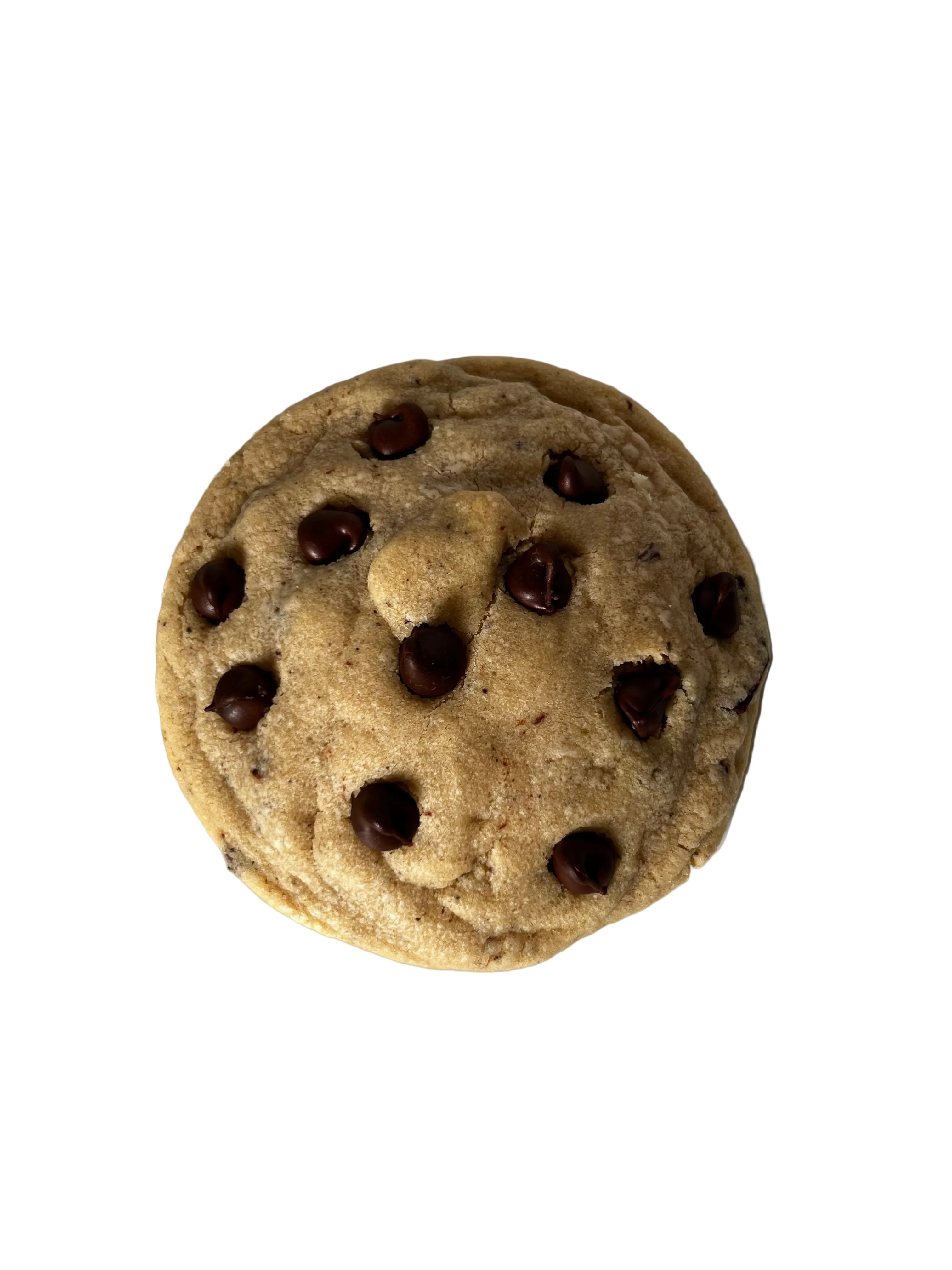 Chocolate Chip Cookie